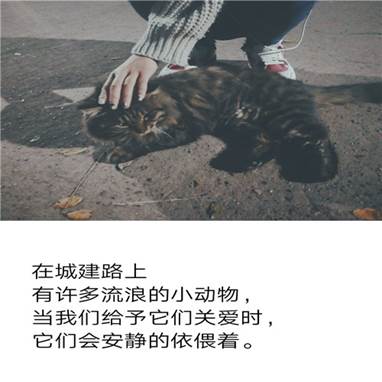 928CB4A37BE12C0D3AE234FABDF14E82